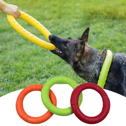 Juguete interactivo flotante para perros - Aro de entrenamiento para tirar