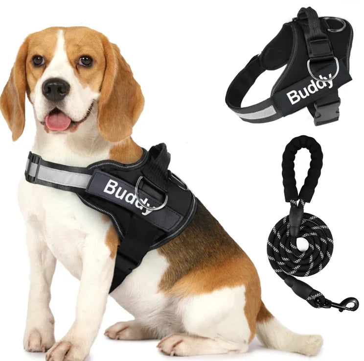 🐾🐕‍🦺Arnés doble para perros con correa incluida❤✨