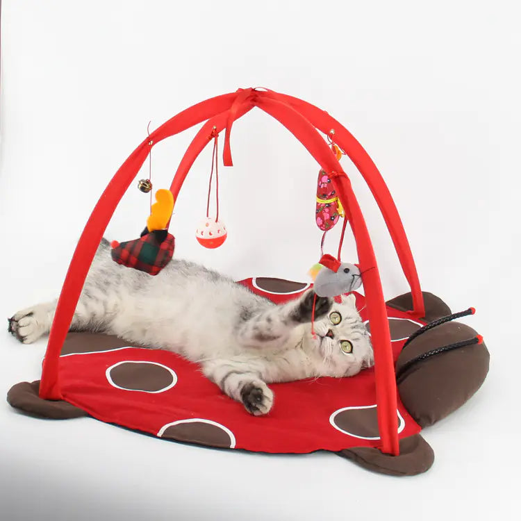Tienda de Juegos Interactiva para Gatos – Cama y Diversión en Uno 🐱🎪
