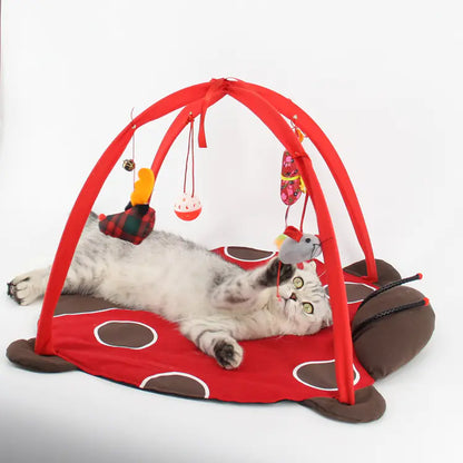 Tienda de Juegos Interactiva para Gatos – Cama y Diversión en Uno 🐱🎪