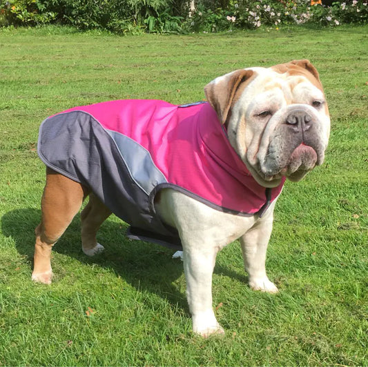 Chaqueta impermeable aislante para mascotas al aire libre
