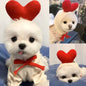 ✨ Sudadera  para Perros Pequeños ✨