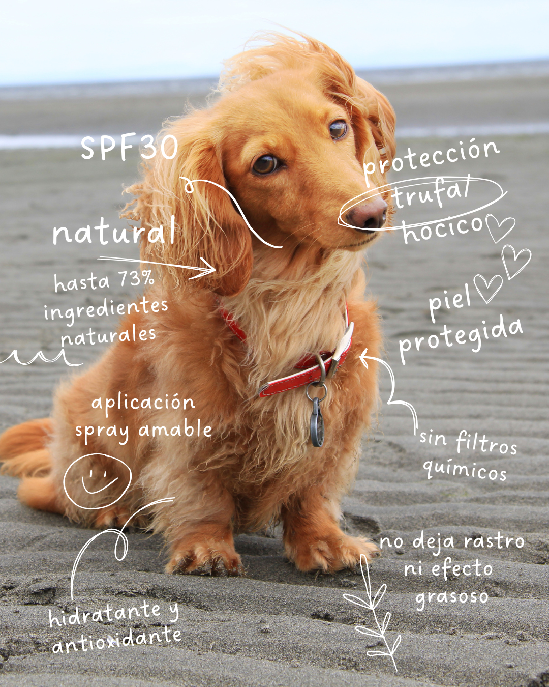 Aloha Dog – Spray solar natural para perros SPF 30