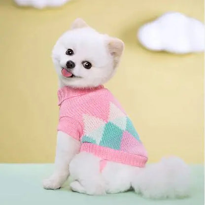 Jersey para mascotas🐾👕