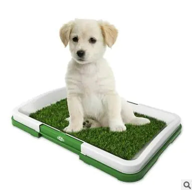 🐶Baño para perros con diseño de césped artificial – Higiene y comodidad en casa