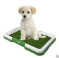 🐶Baño para perros con diseño de césped artificial – Higiene y comodidad en casa