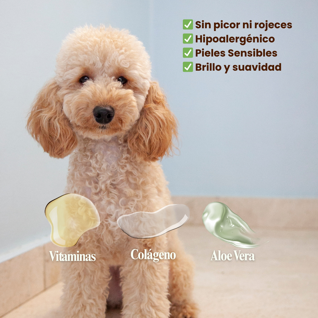 Champú Natural Purificante para Pieles Sensibles