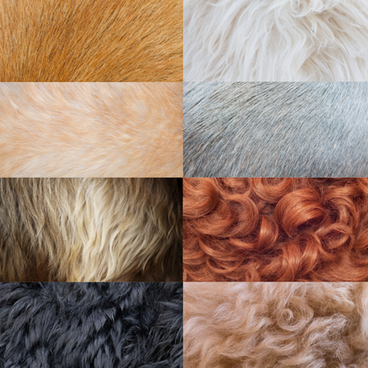 Champú Natural Purificante para Pieles Sensibles