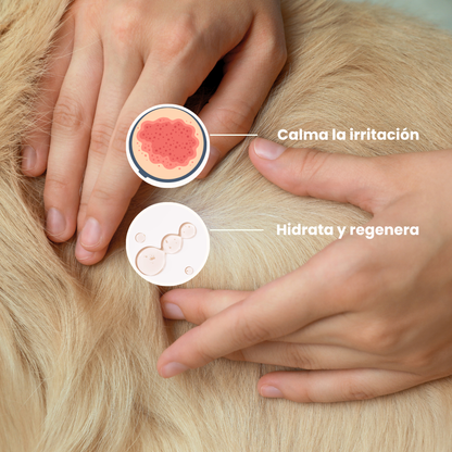 Champú Natural Purificante para Pieles Sensibles