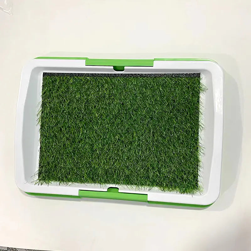🐶Baño para perros con diseño de césped artificial – Higiene y comodidad en casa
