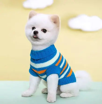 Jersey para mascotas🐾👕