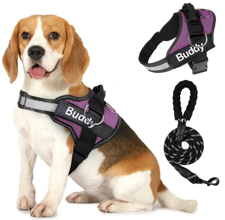 🐾🐕‍🦺Arnés doble para perros con correa incluida❤✨