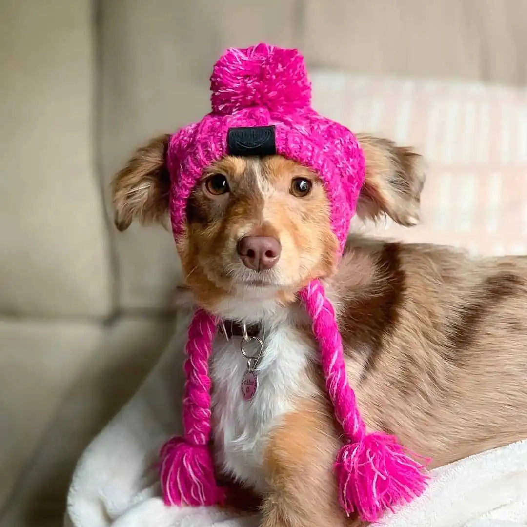 Gorro para perro esponjoso y a prueba de viento con tejido de punto😻🐶