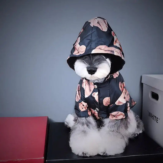 Impermeable de otoño e invierno para perrito a la moda🐶🐾