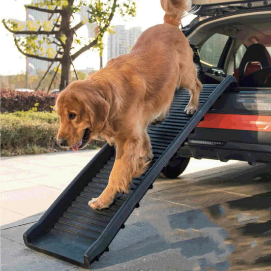 Escalera y rampa plegable antideslizante de plástico para mascotas🐾✨
