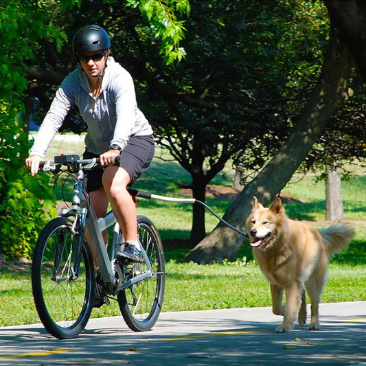 Correa para perro de acero inoxidable para aventuras en bicicleta🐶🐾