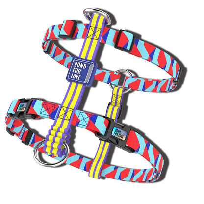 Arnés Chaleco para perros con correa okinawa ajustable 🐾