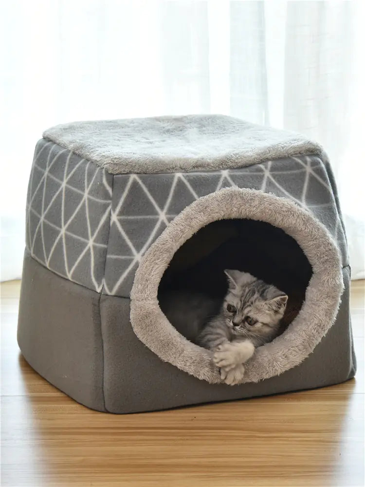 Casas cápsula espaciales para perros y gatos🏡🐾