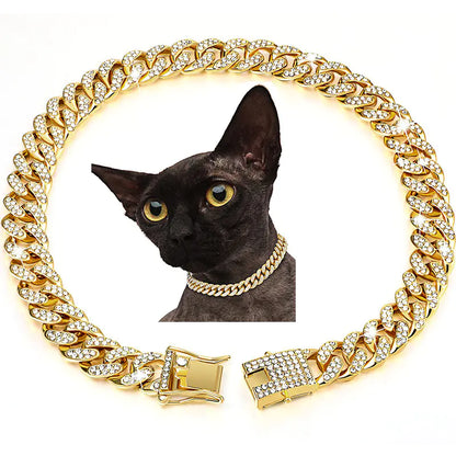 Set de Collar y Cadena Estilo Hip Hop con Diamantes para mascotas 🐾😼