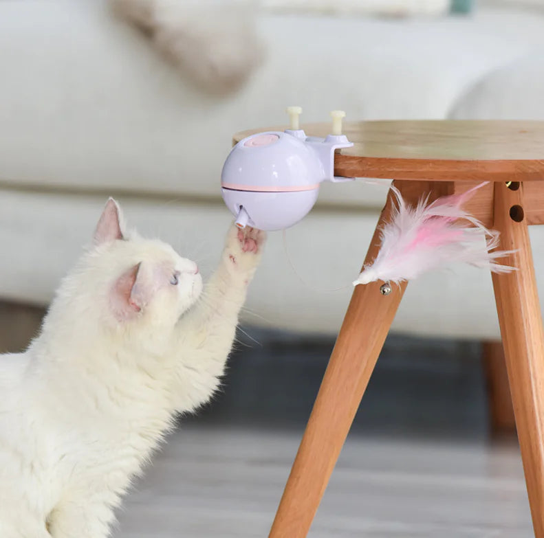 ⚡ Juguete interactivo 2 en 1 para mascotas: diversión sin límites