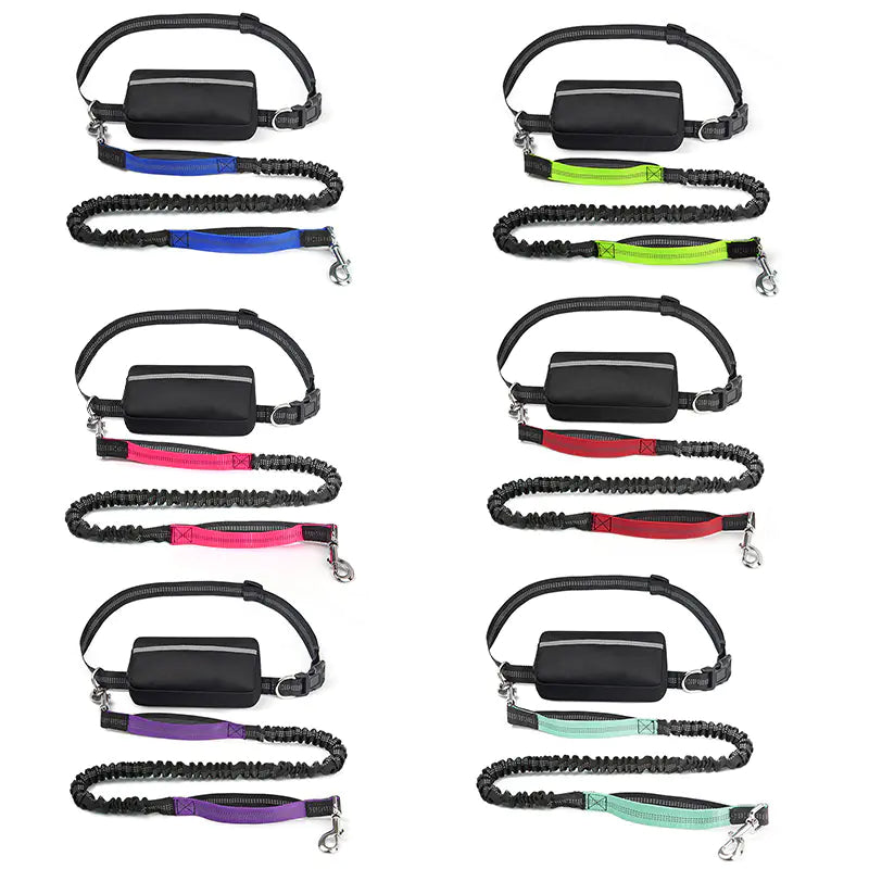 Riñonera Deportiva para Mascotas con Correa – Ideal