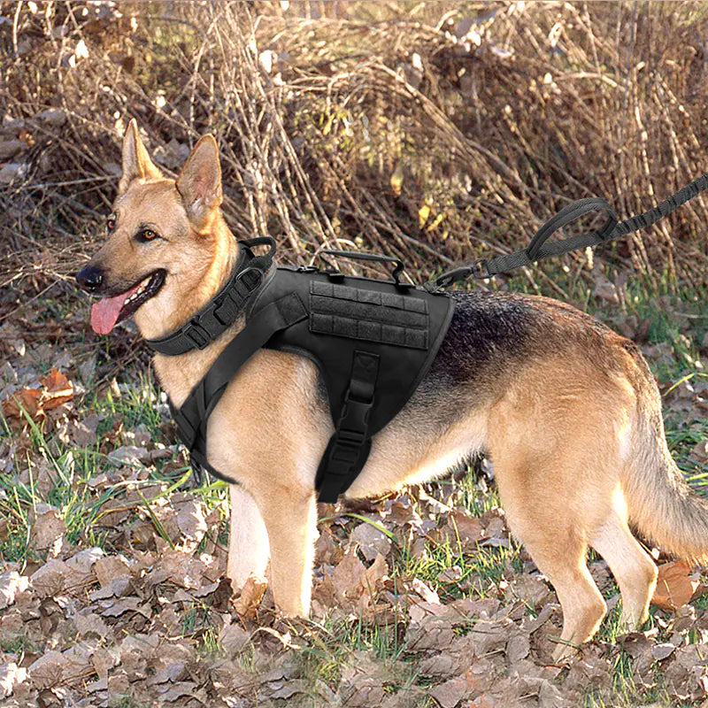 Arnés Táctico de Pecho K9 para Perros🐕‍🦺