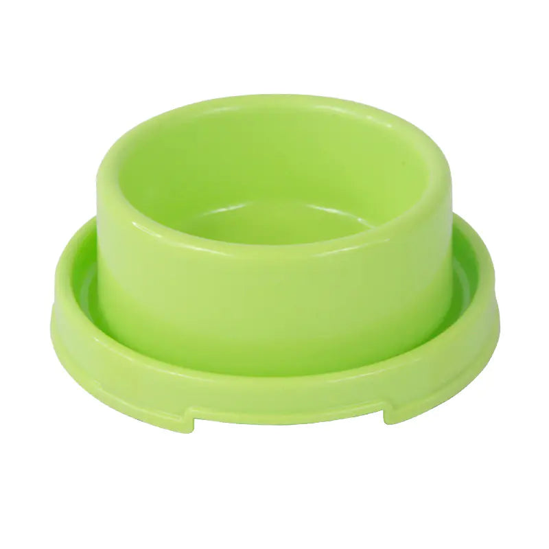 Comedero Redondo Antihormigas para Perros y Gatos 🐶🐱