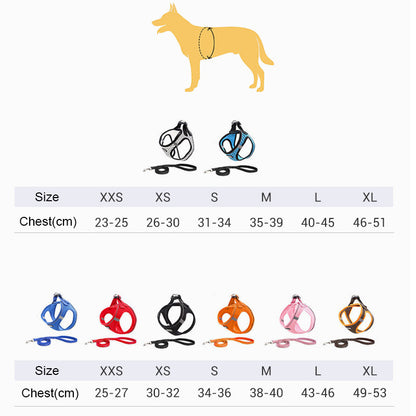 Arnés para perro con correa y traje de tracción🐶