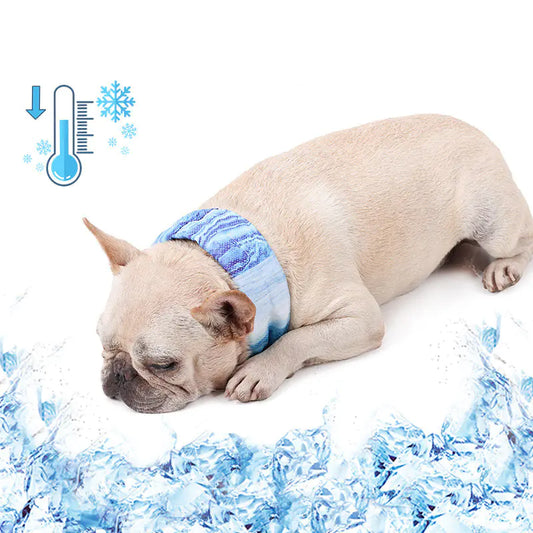 Pañuelo Refrescante para Mascotas – Alivio del Calor en Exteriores🐶🐾