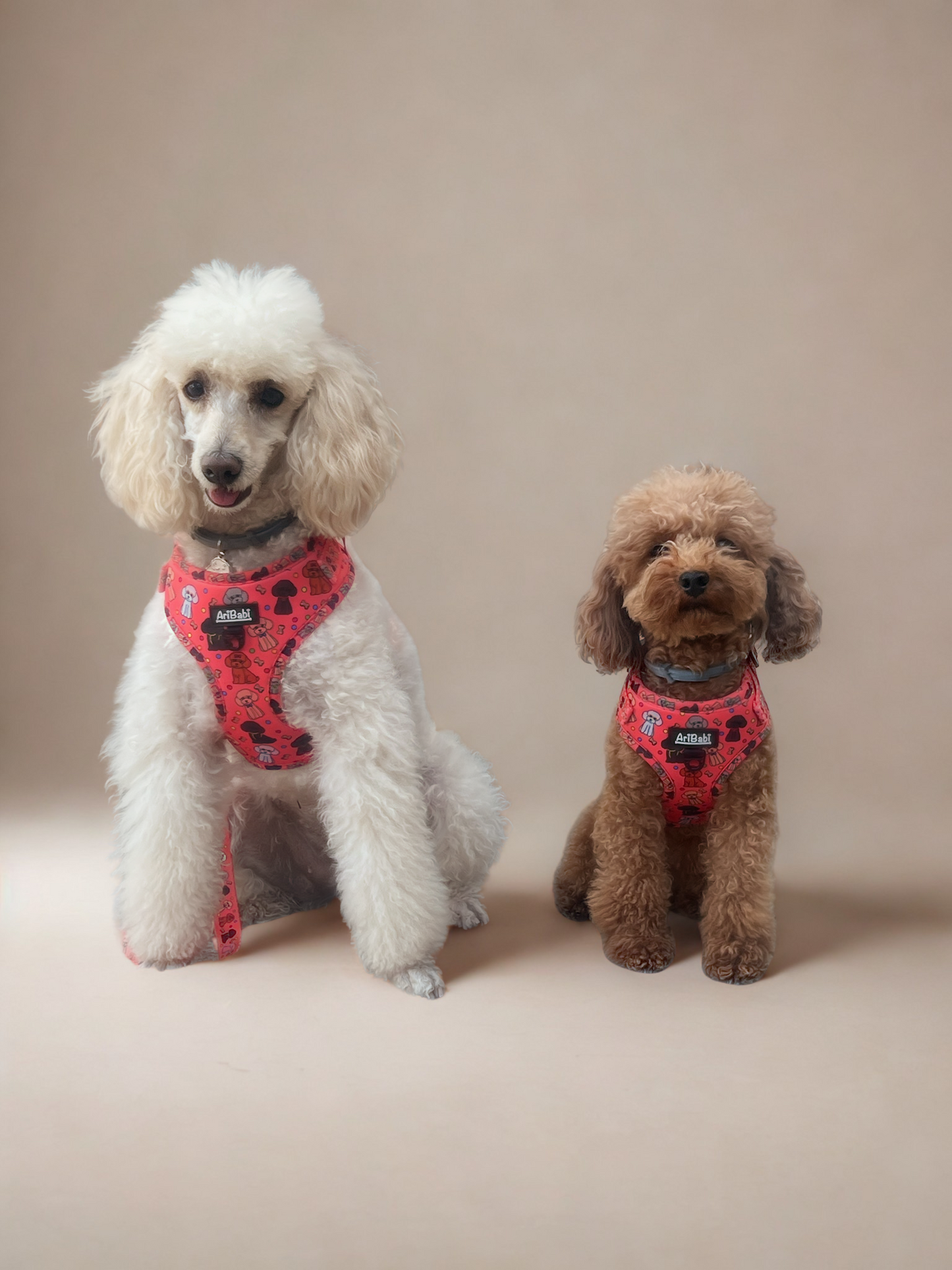 Arnés Ajustable Caniches