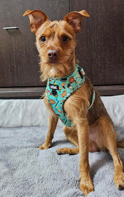 Arnés Ajustable Cookies