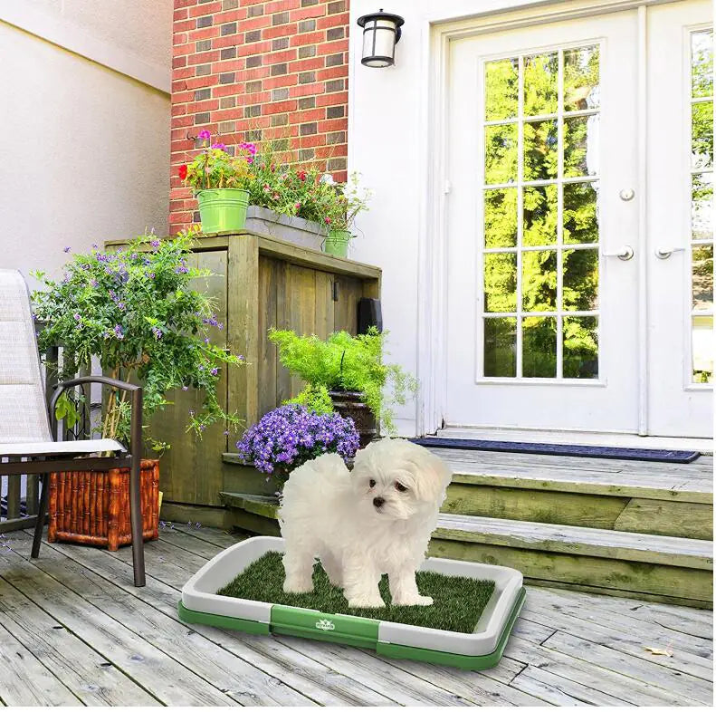 🐶Baño para perros con diseño de césped artificial – Higiene y comodidad en casa