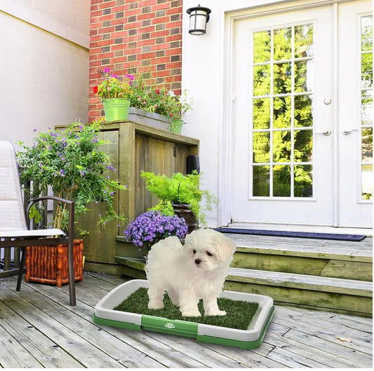 🐶Baño para perros con diseño de césped artificial – Higiene y comodidad en casa