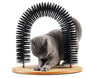 Arco de Juego para Gatitos con Cepillo Mimoso y Base Rascadora