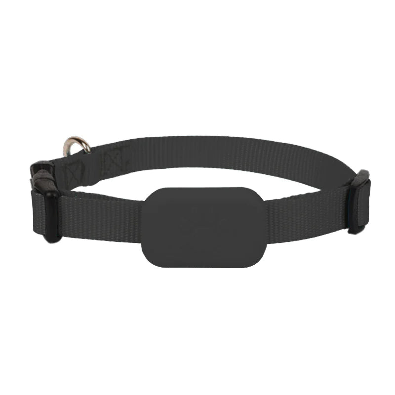✅ Collar rastreador para mascotas anti-pérdida🐾