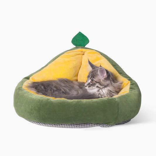 Cama para mascotas pequeñas con colchón extraíble🏡✨