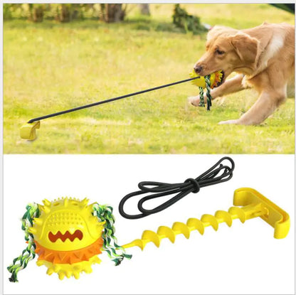 Pelota con cuerda para perros, resistente a mordidas y perfecta para jugar al aire libre y aliviar la dentición