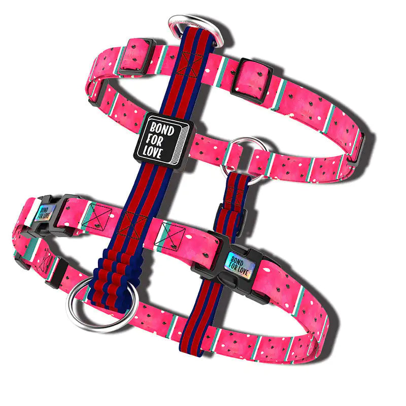 Arnés Chaleco para perros con correa okinawa ajustable 🐾