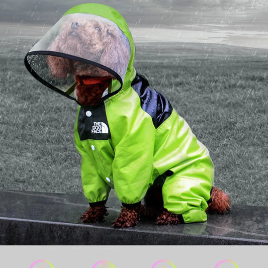 Chubasquero de moda para perros 🐶🐾