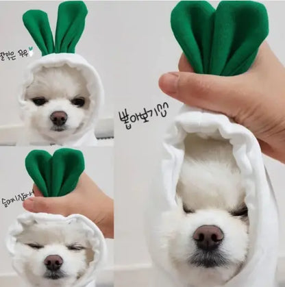 ✨ Sudadera  para Perros Pequeños ✨
