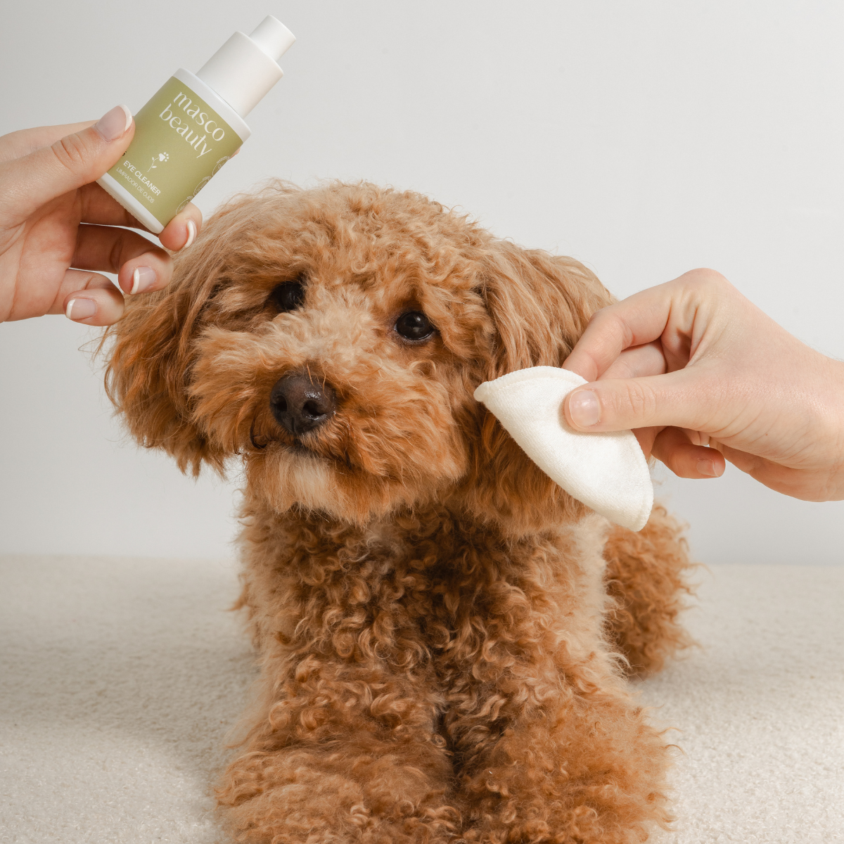 Limpiador ocular y zona lagrimal