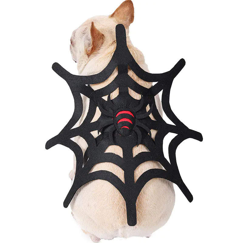 Set de decoración de telaraña para gato y perro de Halloween🎃