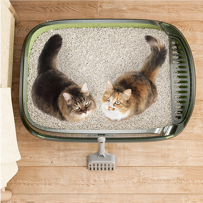 Arenero jumbo para gatos con paredes altas😻🏡