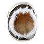 Caseta para Perros con diseño Oso de Peluche Boomerang Samoyedo🐶🏡