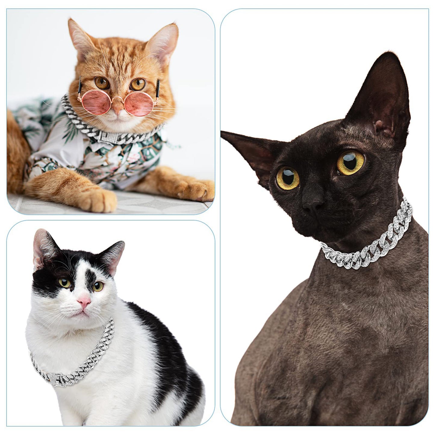Set de Collar y Cadena Estilo Hip Hop con Diamantes para mascotas 🐾😼