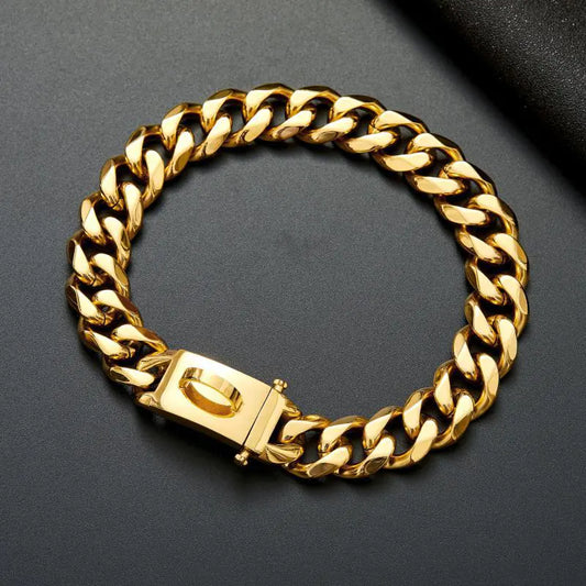 🐾🐶Elegante correa y collar de acero inoxidable para perros medianos y grandes – resistencia y estilo en cada paseo.