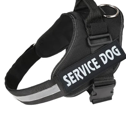 🐾🐕‍🦺Arnés doble para perros con correa incluida❤✨