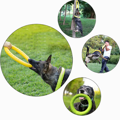 Juguete interactivo flotante para perros - Aro de entrenamiento para tirar