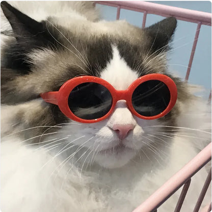 😎 Gafas de Sol Multicolor para Perros y Gatos