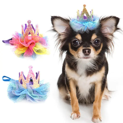 Gorro de Cumpleaños para Mascotas con Corona de Encaje – Para Perros y Gatos